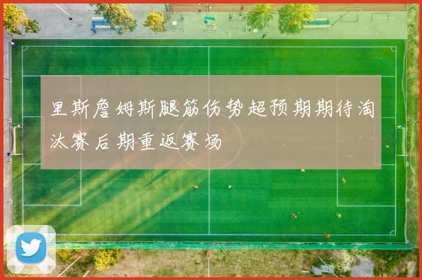 里斯詹姆斯腿筋伤势超预期期待淘汰赛后期重返赛场