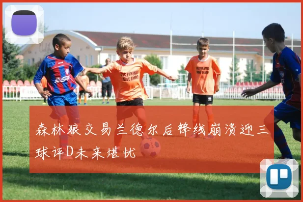 森林狼交易兰德尔后锋线崩溃迎三球评D未来堪忧