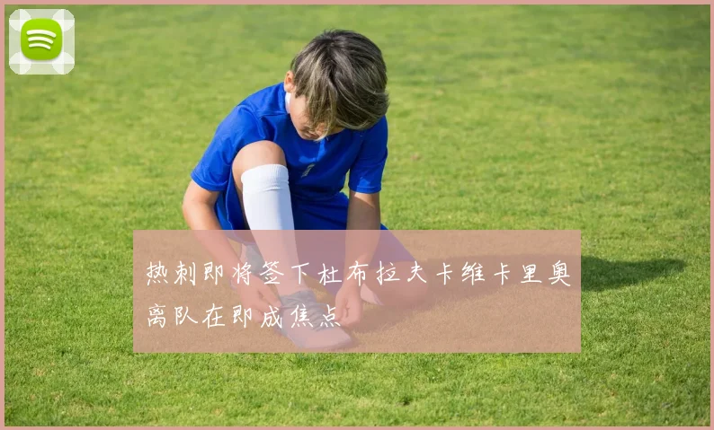 热刺即将签下杜布拉夫卡维卡里奥离队在即成焦点